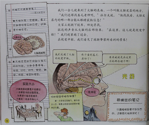 神奇校车:探访感觉器官