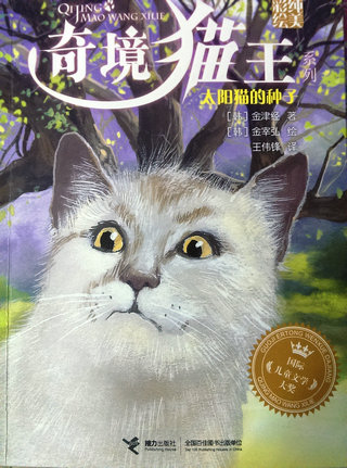 小学：奇境猫王  太阳猫的种子  