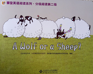 A Wolf or a Sheep？ 是狼还是羊？