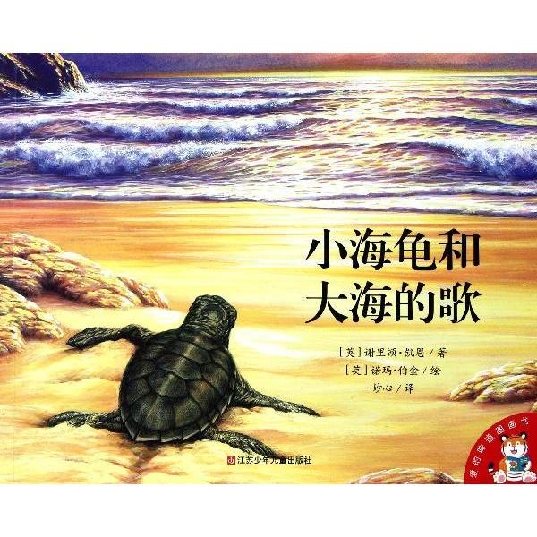 小海龟和大海的歌