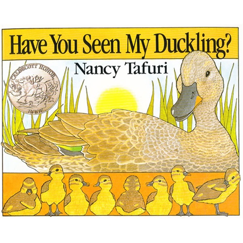英文绘本：Have You Seen My Duckling