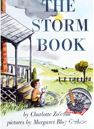 英文绘本：The Storm Book